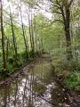 Attiches 10 09 14 (11)