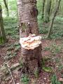 Attiches 10 09 14 (12)