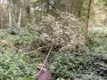 Attiches 10 09 14 (17)