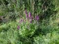 Attiches 10 09 14 (4)