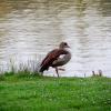 Baisieux 30/03/2014