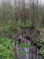 Baisieux 30/03/2014