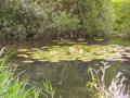 Bauvin 03 07 16 (10)