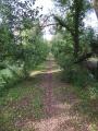 Bauvin 03 07 16 (7)