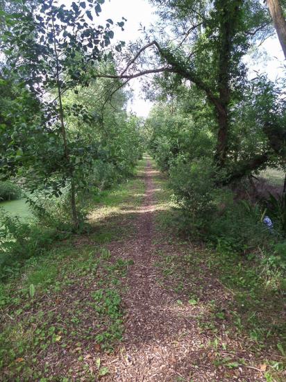 Bauvin 03 07 16 (7)