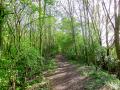 Bauvin 15/04/14