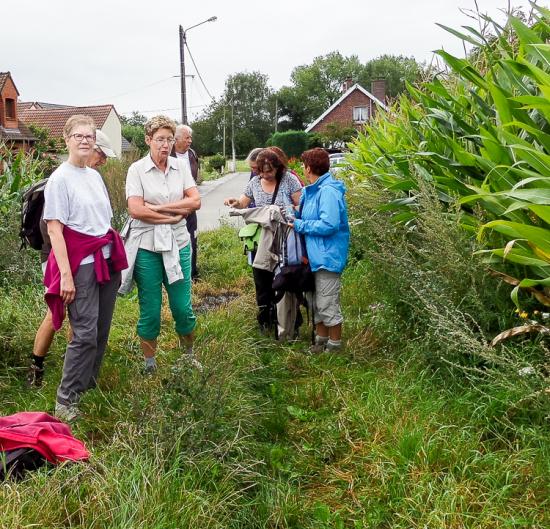 Bouvignies 17 08 14 007