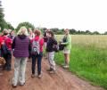 Camphin-en-Carembault 29 06 16 (10)