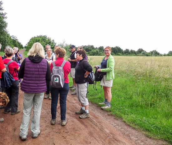 Camphin-en-Carembault 29 06 16 (10)
