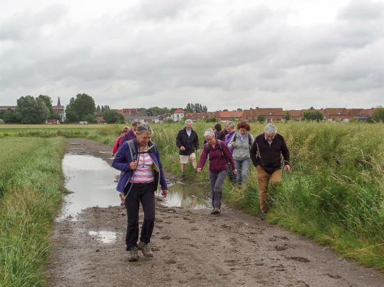 Camphin-en-Carembault 29 06 16 (5)