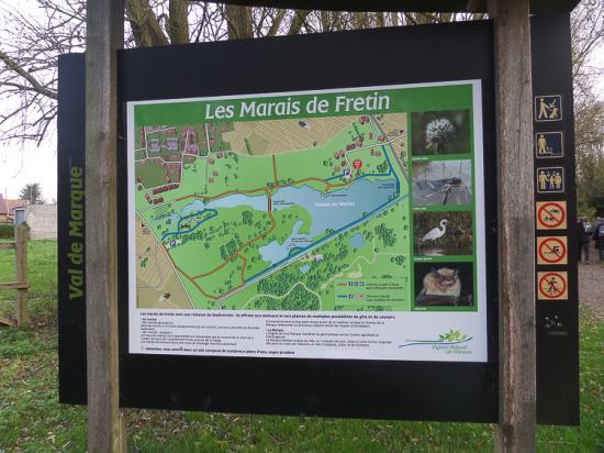 Fretin 18 11 15 003