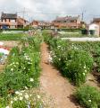 Gondecourt 14 05 14 (11)
