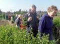 Gondecourt 14 05 14 (3)