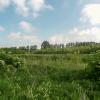 Gondecourt 14 05 14 (5)