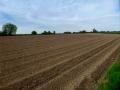 Gondecourt 29 04 15 004