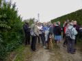 Gondecourt 29 04 15 008