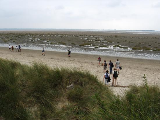 Baie des phoques