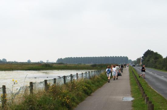 Baie des phoques