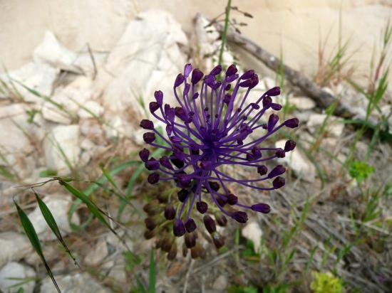 Rando dans les gorges du Verdon