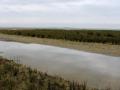 Baie des phoques
