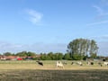 Img 0388