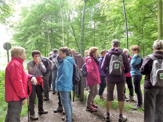 La Neuville 25 05 16 (7)