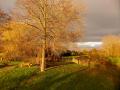 Lecelles 06 12 15 007