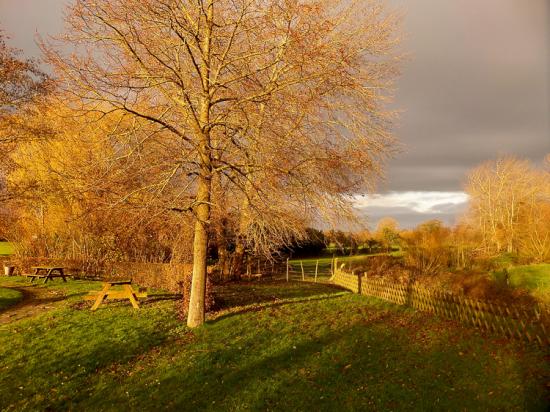 Lecelles 06 12 15 007