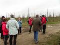 Lecelles 06 12 15 014