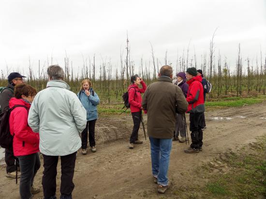 Lecelles 06 12 15 014