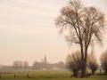 Marquillies 24 02 16 (5)