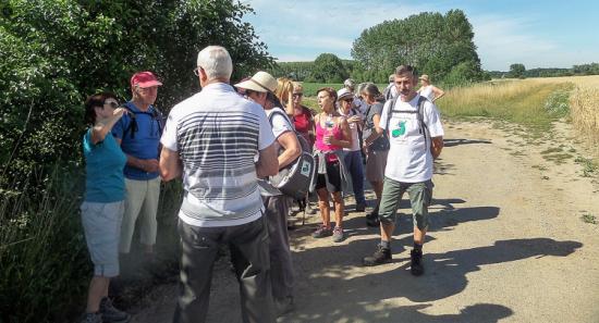 Moncheaux 05 07 17 (6)