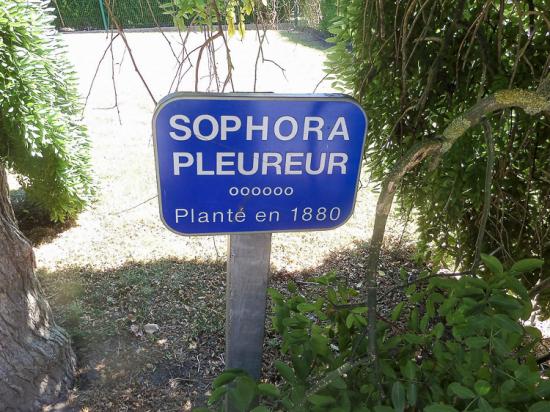 Moncheaux 05 07 17 (9)