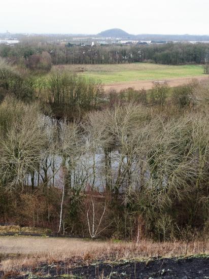 Oignies 06 01 16 (22)
