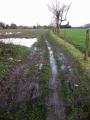 Péronne-en-Mélantois 02 12 15001 (11)