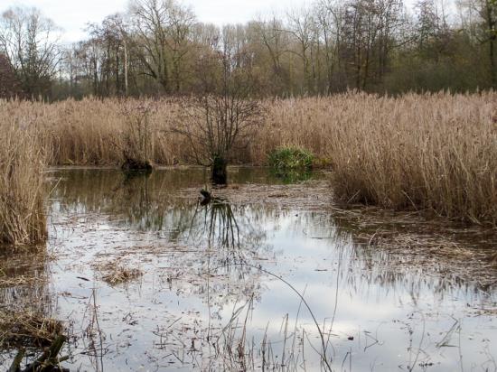 Péronne-en-Mélantois 02 12 15001 (7)