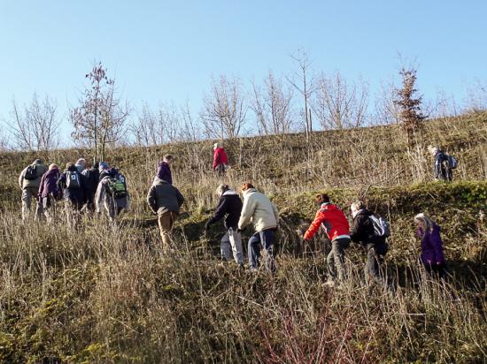 Péronne-en Mélantois 04 03 15 005