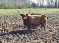 Péronne-en Mélantois 04 03 15 017