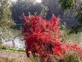 Santes 01 10 14 012