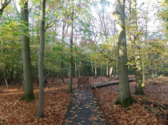 Zillebeke 05 11 17 (10)