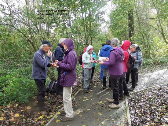 Zillebeke 05 11 17 (16)