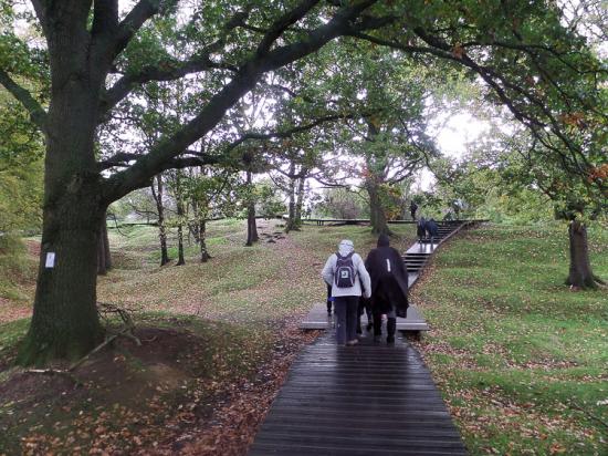 Zillebeke 05 11 17 (20)