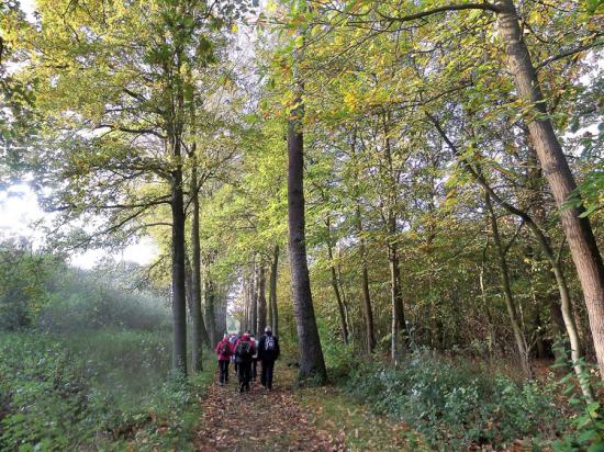 Zillebeke 05 11 17 (3)