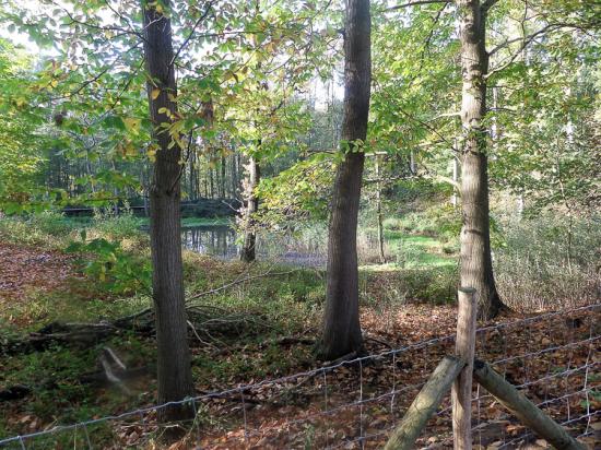 Zillebeke 05 11 17 (6)