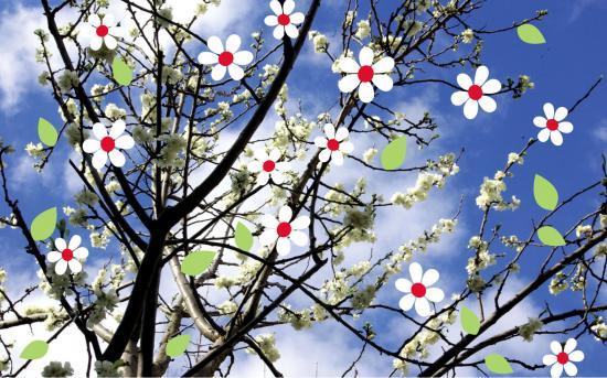arbre-fleur.jpg